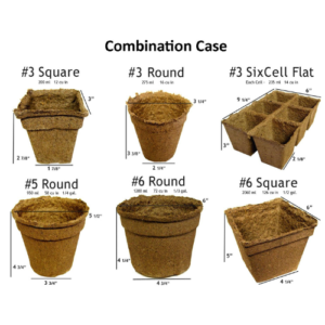 Seed & Step Up Mixed Case