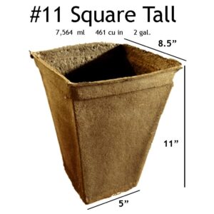 #11 Square Tall