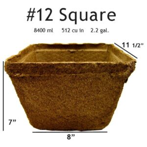 #12 Square