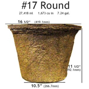 #17 Round