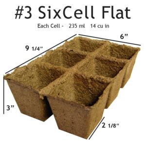 #3 Six Cell