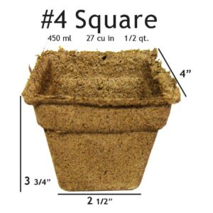 #4 Square
