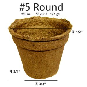 #5 Round