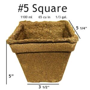 #5 Square