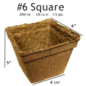 #6 Square