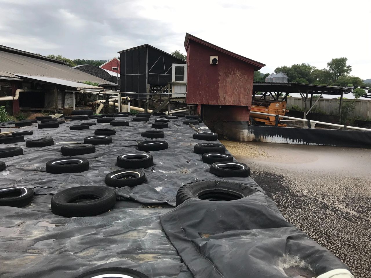 Separted manure liquid held in lagoon next to methane digester. 