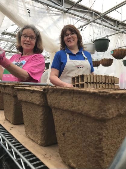 prepping cowpots for fall planting