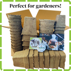 #1 CowPots Sample Box